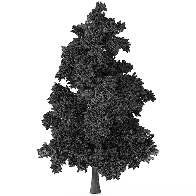 Pine Tree 3D Model polys 760K 3D model image 3