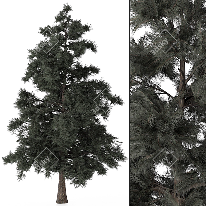 Pine Tree 3D Model polys 760K 3D model image 4