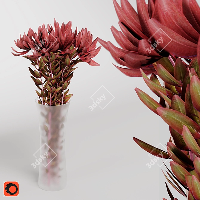 Safari Sunset Leucadendron Bouquet Model 3D model image 1