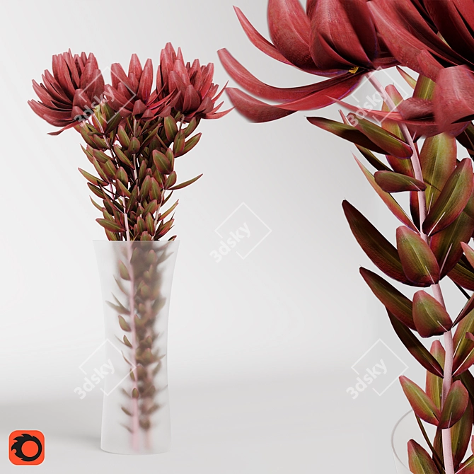 Safari Sunset Leucadendron Bouquet Model 3D model image 2