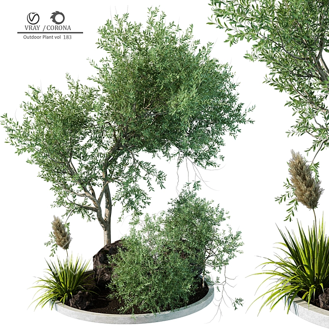 Stylish Outdoor Plant 3D Model 3D model image 1