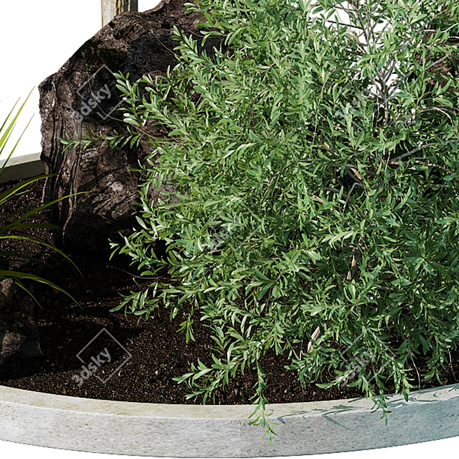 Stylish Outdoor Plant 3D Model 3D model image 3