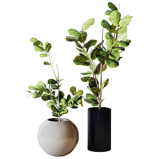 Modern Minimalist Interior Plant 07 3D model image 1