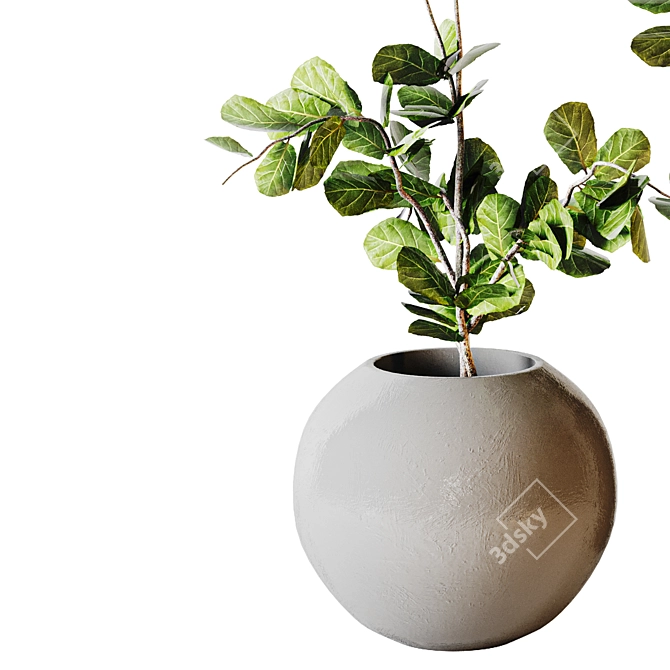 Modern Minimalist Interior Plant 07 3D model image 2