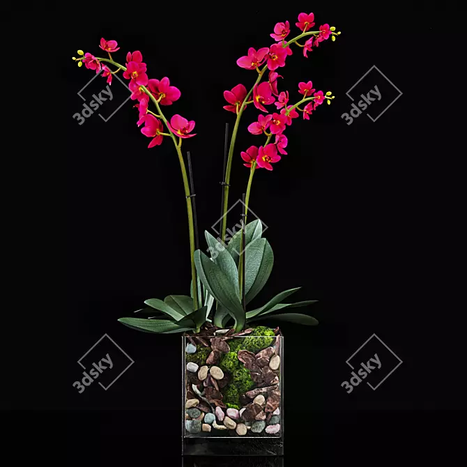 Botanical Bliss 3D Plant Model 3D model image 2