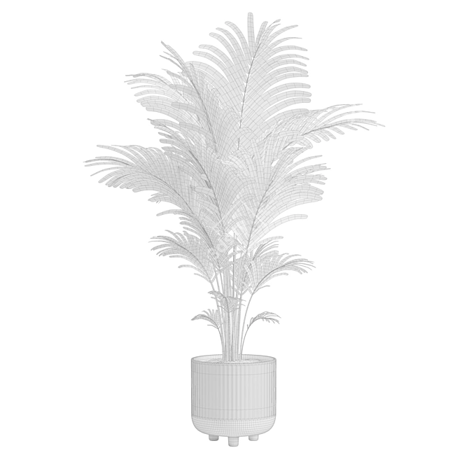 Tropical Beauty Areca Palm 3D model image 3