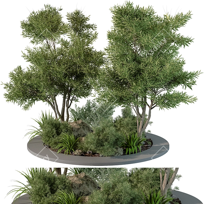 Outdoor Plant 2015 Growth Bundle 3D model image 1