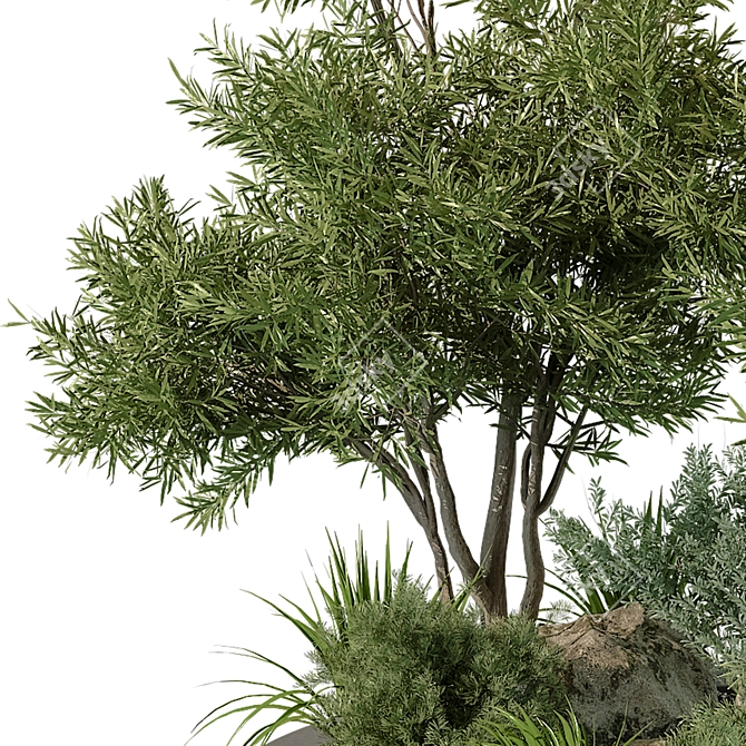 Outdoor Plant 2015 Growth Bundle 3D model image 2