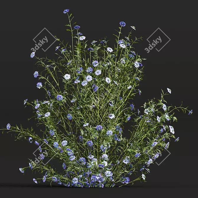 Botanical 3D Plant Collection Offer 3D model image 3