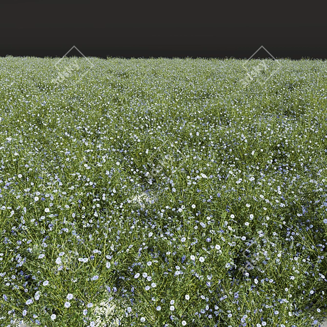 Botanical 3D Plant Collection Offer 3D model image 4