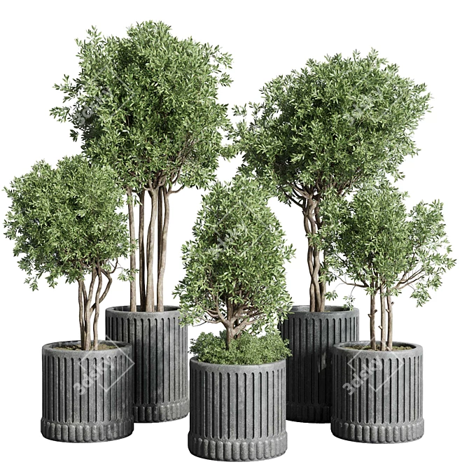 Concrete Vase Plant Collection 3D 3D model image 1