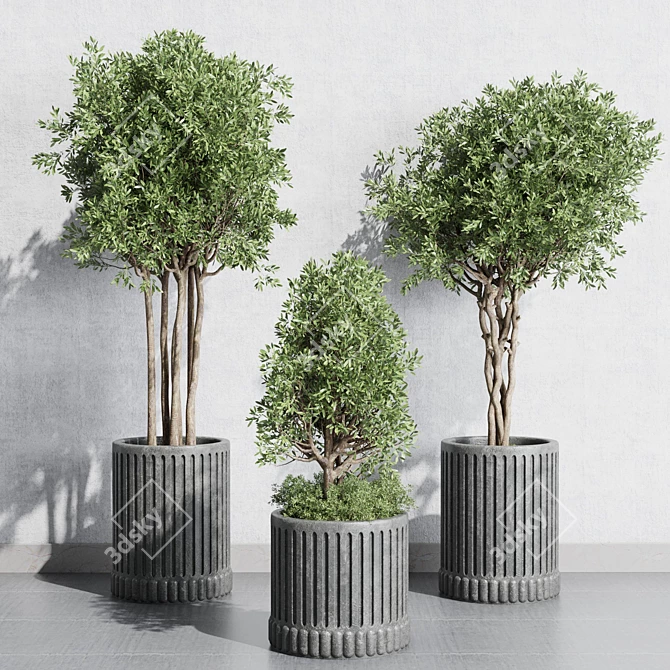 Concrete Vase Plant Collection 3D 3D model image 2