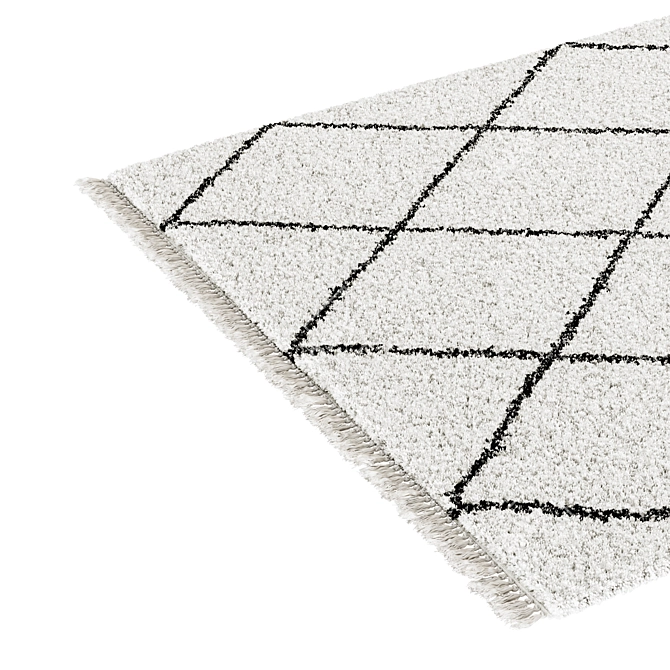 Berber Style Jiraya Rug White/Black 3D model image 2