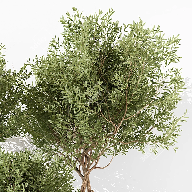 2015 Indoor Plant 187 Model 3D model image 2