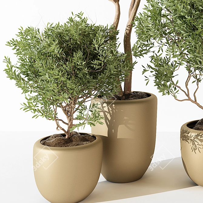 2015 Indoor Plant 187 Model 3D model image 3