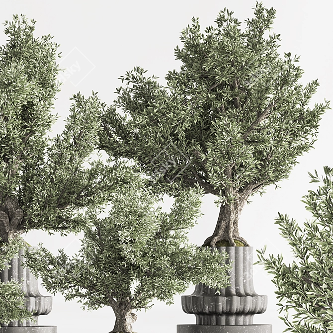 Artificial Bonsai Home Decor Set 3D model image 6