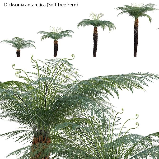 Versatile 3D Plant Models Pack 3D model image 1