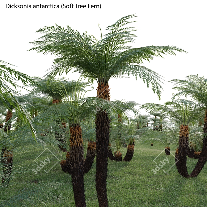 Versatile 3D Plant Models Pack 3D model image 2