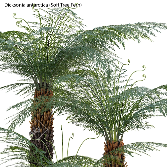 Versatile 3D Plant Models Pack 3D model image 3