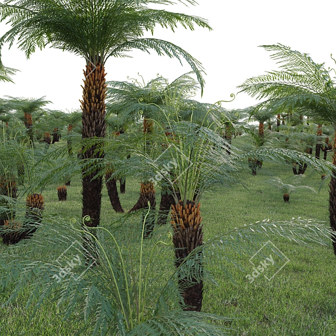 Versatile 3D Plant Models Pack 3D model image 4