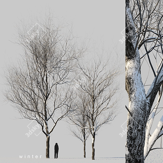 Winter Wonderland Trees Set 3D model image 8