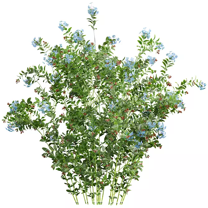 Lush 3D Plant Collection Variety 3D model image 2