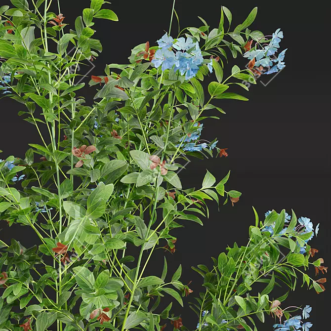 Lush 3D Plant Collection Variety 3D model image 4