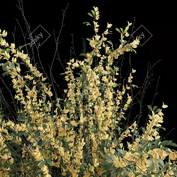 Lush 3D Plant Collection Variety 3D model image 5