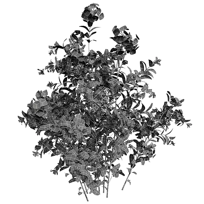 Lush 3D Plant Collection Variety 3D model image 7