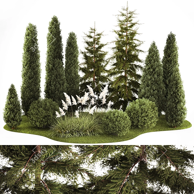 Urban Greenery Set: Cypress, Thuja, Juniper 3D model image 1