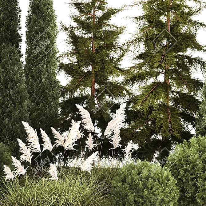 Urban Greenery Set: Cypress, Thuja, Juniper 3D model image 4