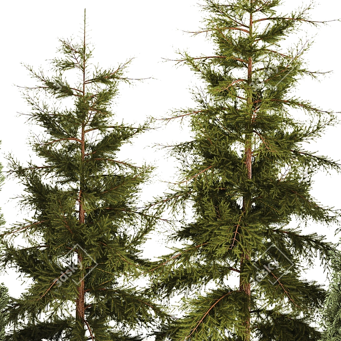 Urban Greenery Set: Cypress, Thuja, Juniper 3D model image 5