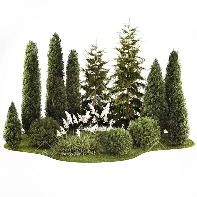 Urban Greenery Set: Cypress, Thuja, Juniper 3D model image 6