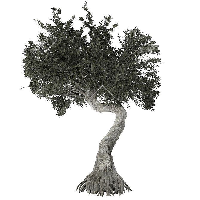 Gnarled Tree Sculpture 3D Model 3D model image 2