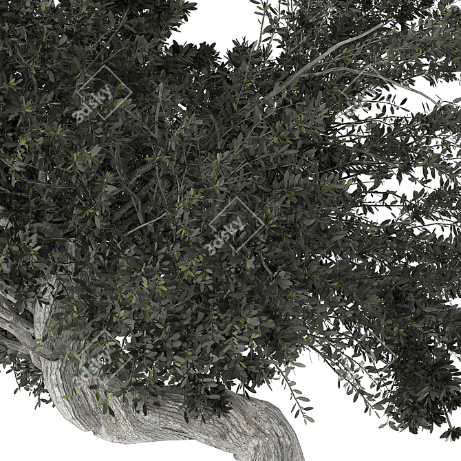 Gnarled Tree Sculpture 3D Model 3D model image 3