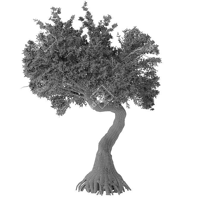 Gnarled Tree Sculpture 3D Model 3D model image 4