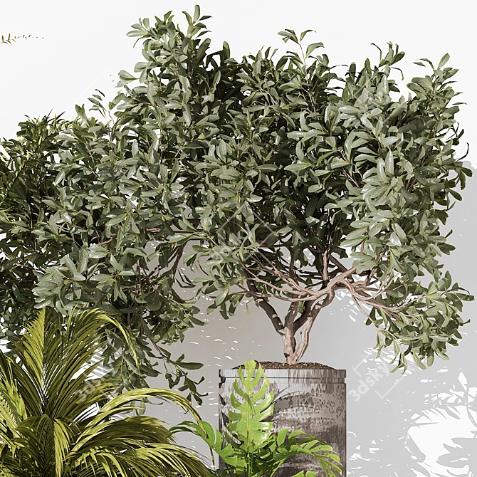 Modern Indoor Plant 3D Model 3D model image 3