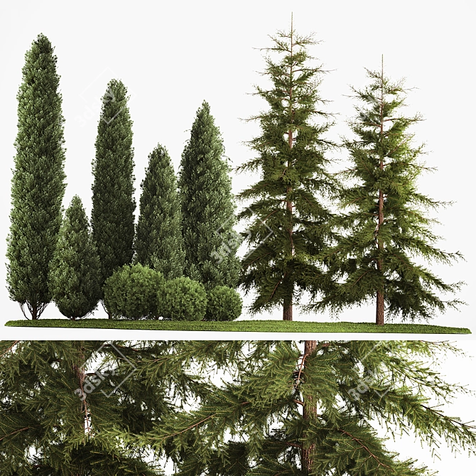 Evergreen Landscape Plant Set - 1155 3D model image 1