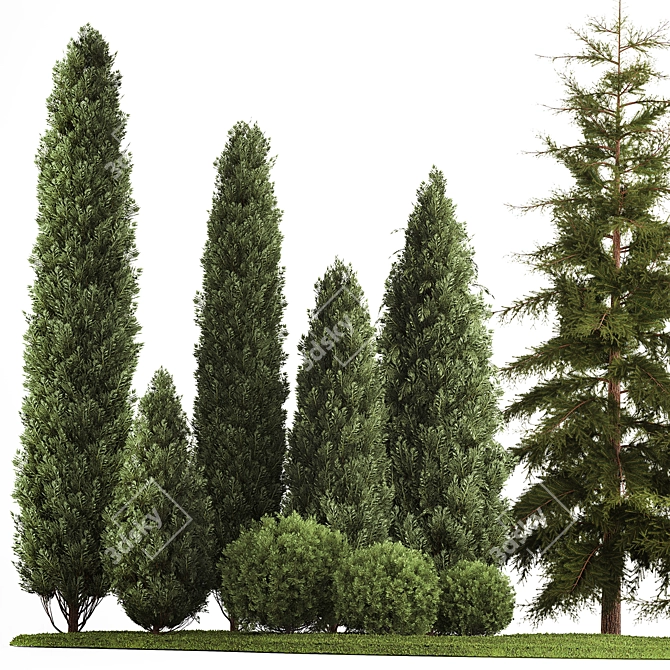 Evergreen Landscape Plant Set - 1155 3D model image 2