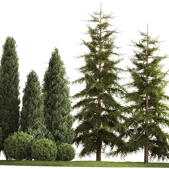 Evergreen Landscape Plant Set - 1155 3D model image 3