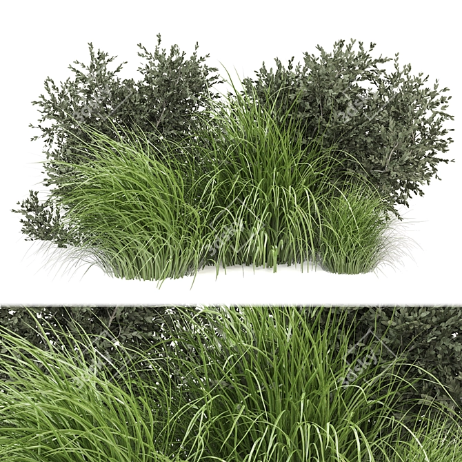 Outdoor Bush Plants Set 675 3D model image 1