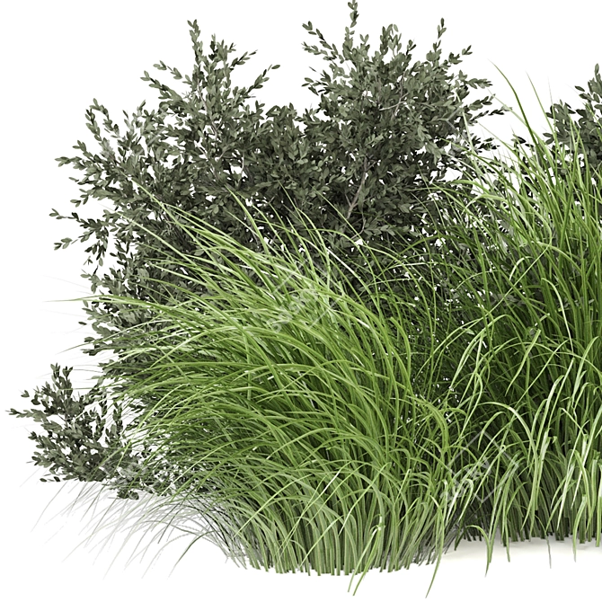 Outdoor Bush Plants Set 675 3D model image 3