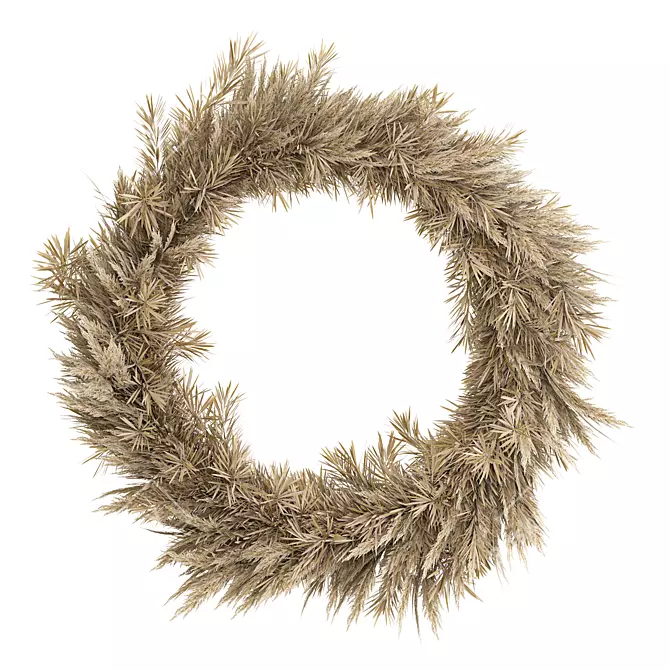 Elegant Dried Wreath Design 3D model image 1