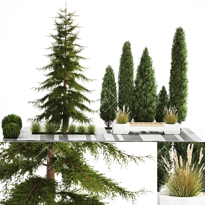 Urban Greenery Collection: Bench and Evergreens 3D model image 1