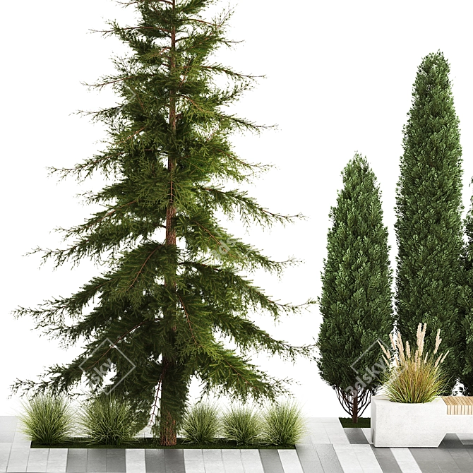 Urban Greenery Collection: Bench and Evergreens 3D model image 3