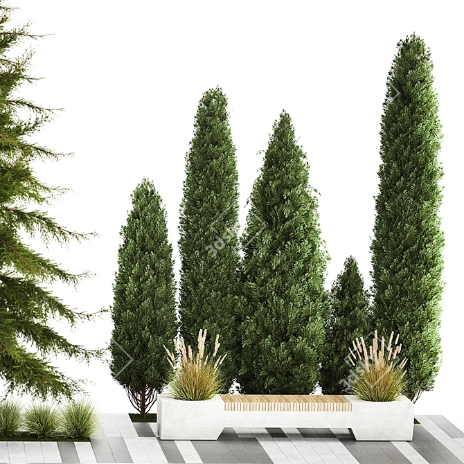 Urban Greenery Collection: Bench and Evergreens 3D model image 4