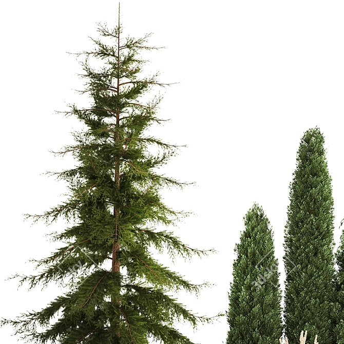 Urban Greenery Collection: Bench and Evergreens 3D model image 5