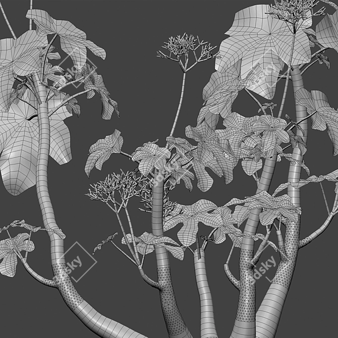 Versatile 3D Plant Models Set 3D model image 4