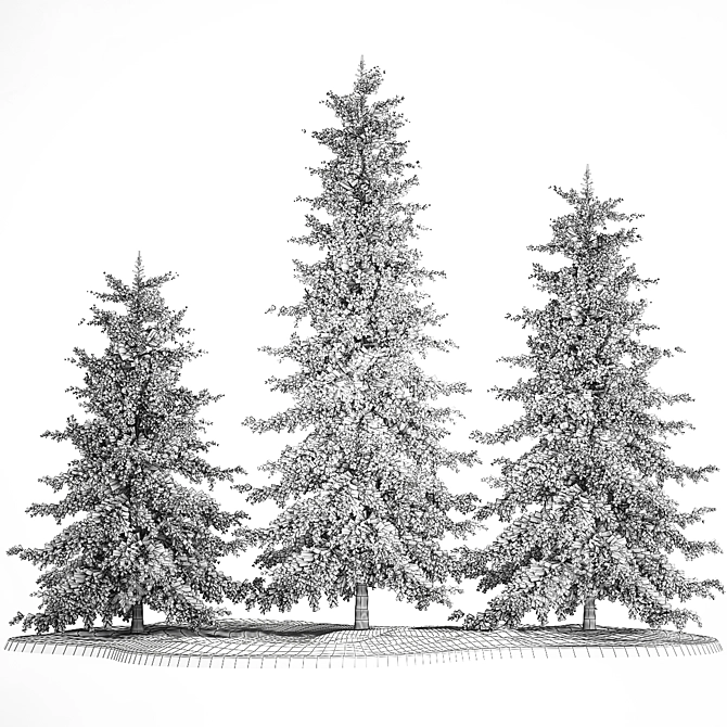 Evergreen Trees Collection for Landscape Design 3D model image 7