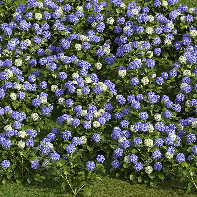 Russian Hydrangea Flowers Bouquet 3D model image 2